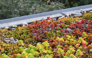 the cost of Neight Hill green roof installation