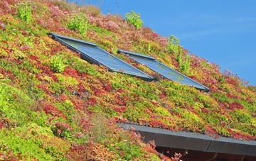 Neight Hill living roof systems